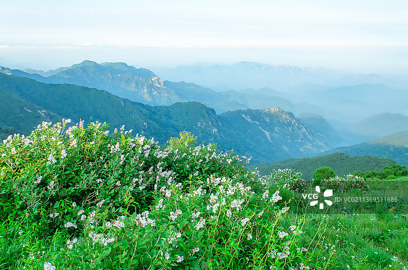 中国河北省张家口市，著名旅游景点，海坨山风景区，山顶的绿色草地和美丽的风景全景图图片素材