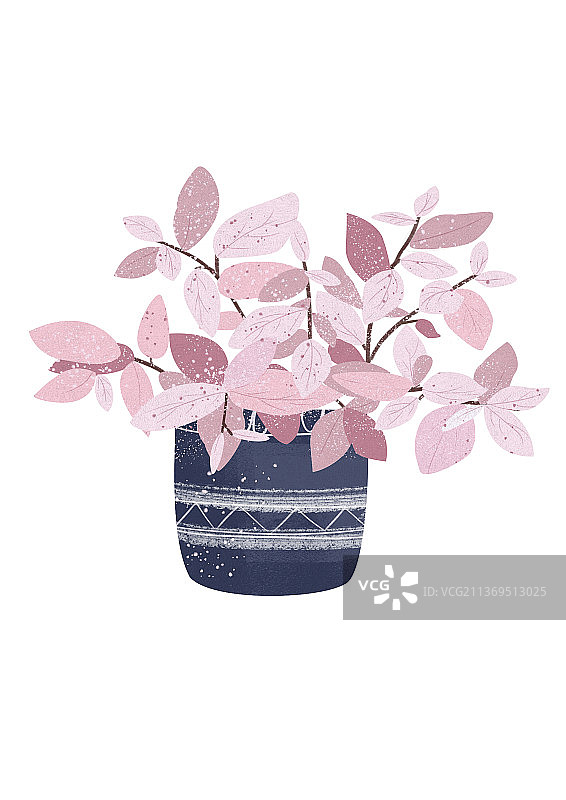 扁平植物图片素材