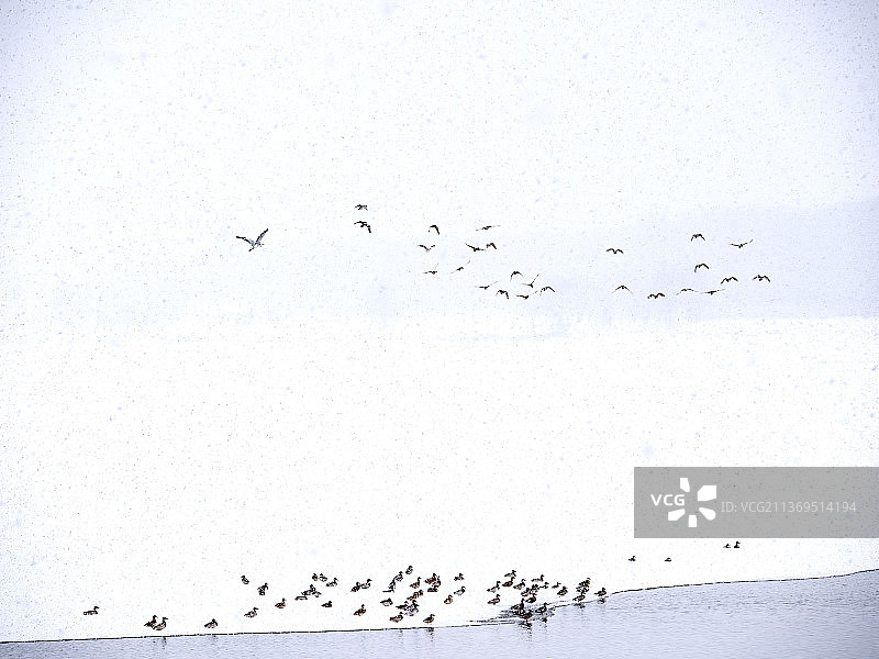 大雪纷飞的湖面图片素材