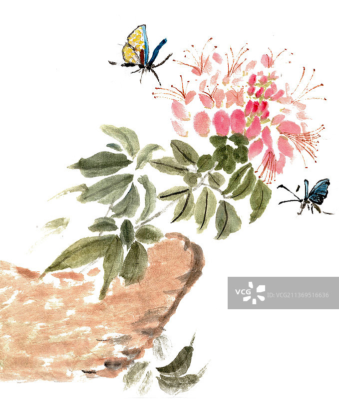 鲜花与蝴蝶图片素材