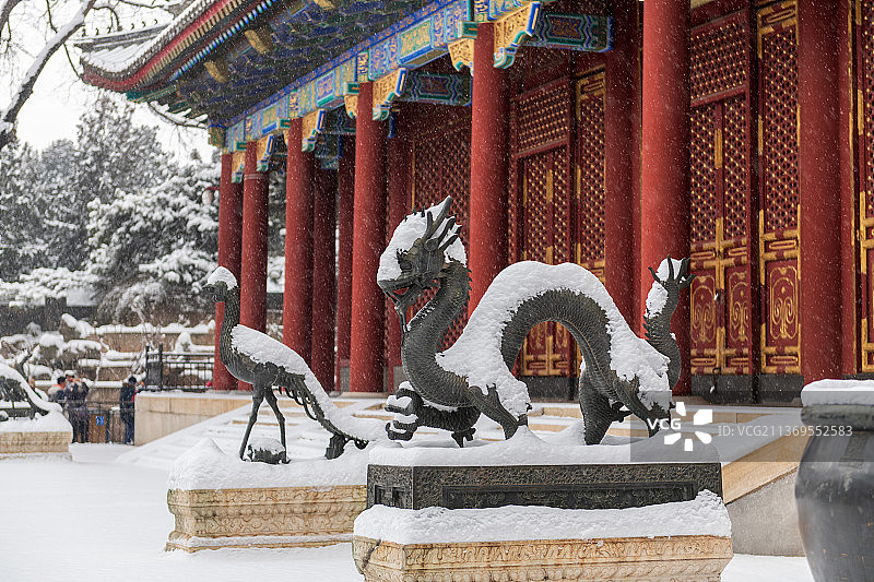 颐和园仁寿殿前图片素材