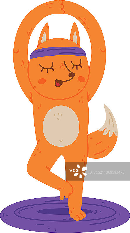 瑜伽垫上练习瑜伽的有趣狐狸图片素材