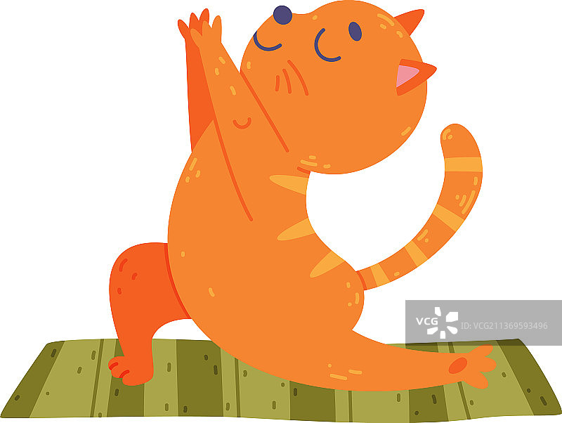 有趣的猫在瑜伽垫上练习瑜伽图片素材