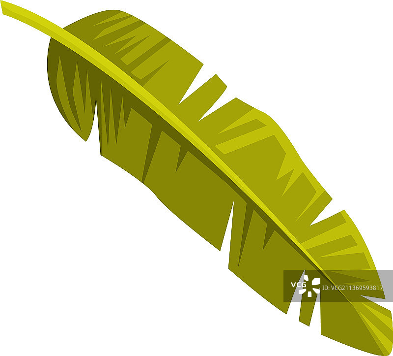 巴厘岛的绿色热带叶子和树叶图片素材