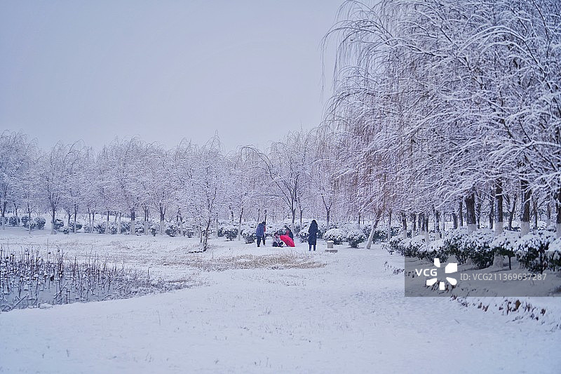 冰雪天地图片素材