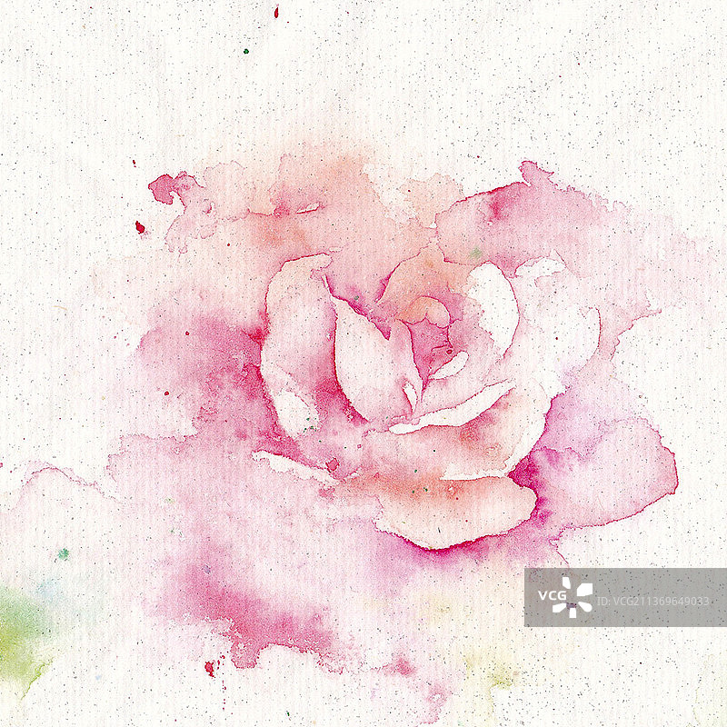 水彩玫瑰素材图片素材