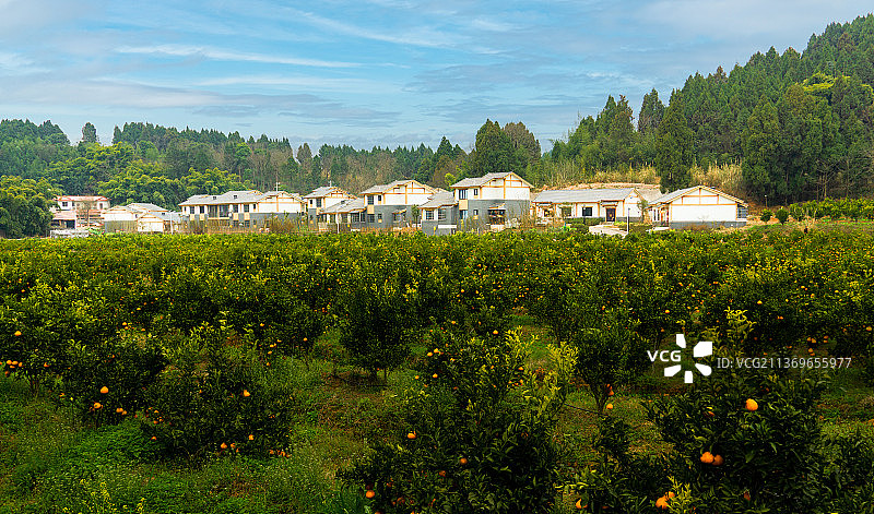 新农村建设-简阳荷桥村图片素材