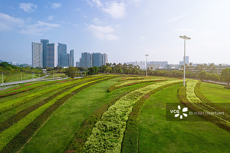 深圳光明区从龙大高速绿化景观带望光明中心区高楼群图片素材