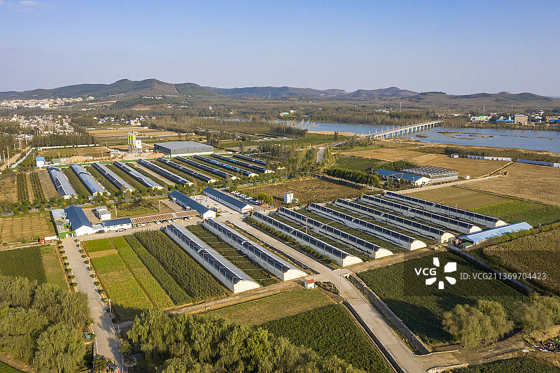 科技助的温控大棚现代农业采摘园图片素材