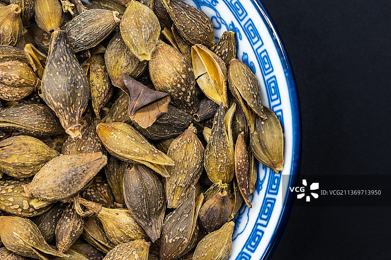 中药材-连翘图片素材