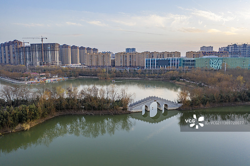 冬日夕阳下的周口市槐店镇中华槐园图片素材