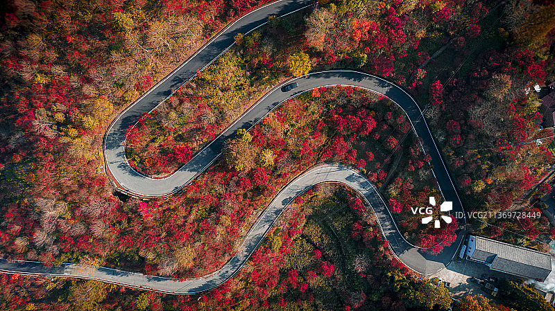 层林尽染图片素材