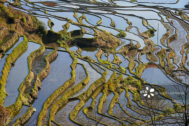 哈尼梯田，元阳风光图片素材