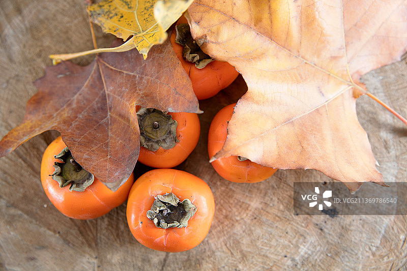 秋季成熟的红柿子水果图片素材