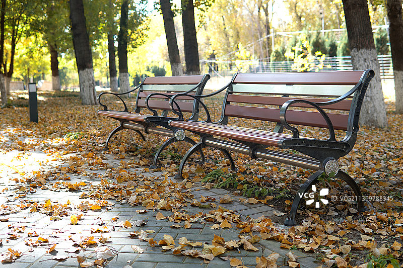 秋季公园里的休闲座椅图片素材
