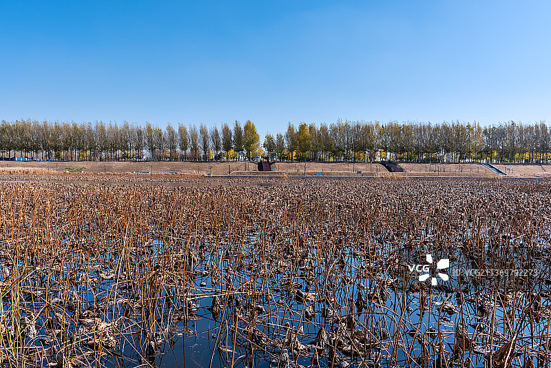 中国辽宁沈阳浑南的九岛湖沈抚灌渠图片素材