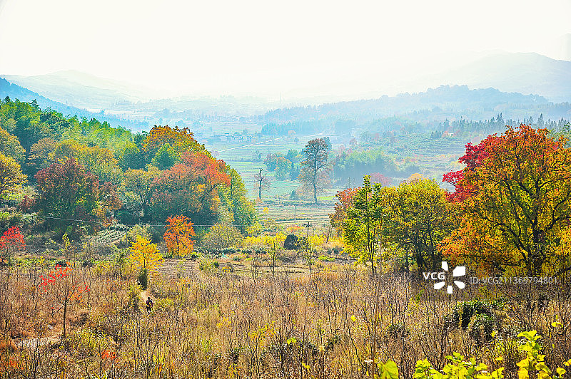 塔川秋色图片素材