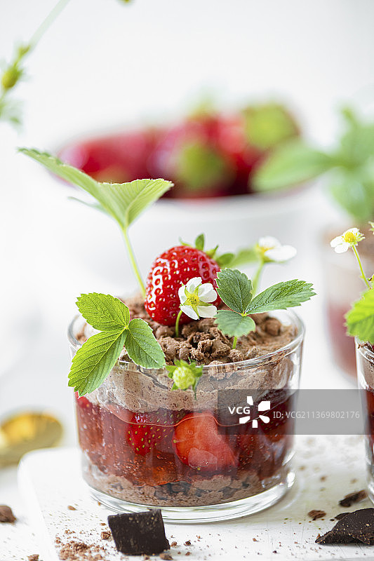 草莓果冻配巧克力奶油图片素材