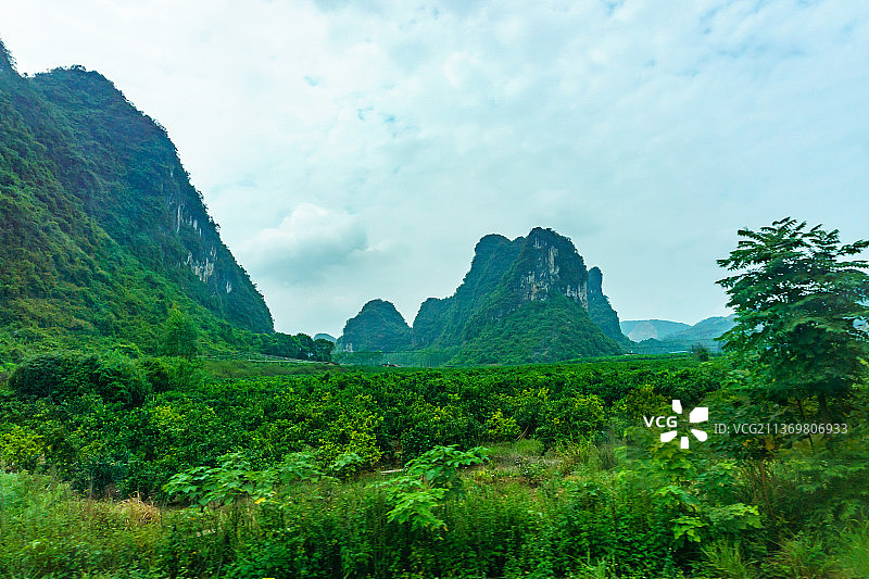 山脚下的树林图片素材