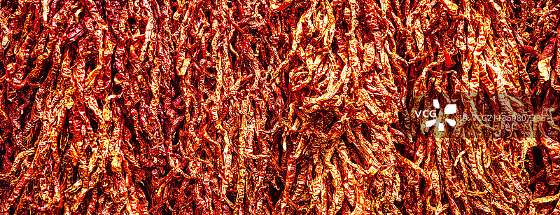 成串的红辣椒图片素材