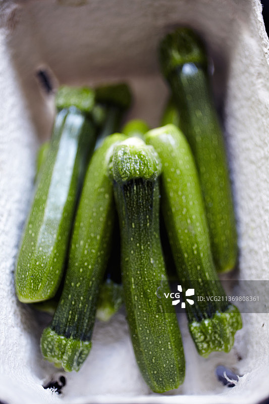 新鲜小胡瓜图片素材