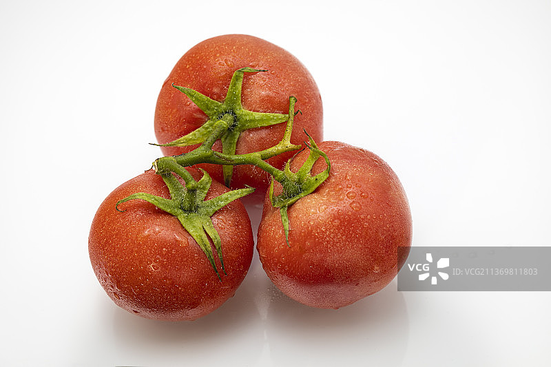三个连藤的西红柿图片素材