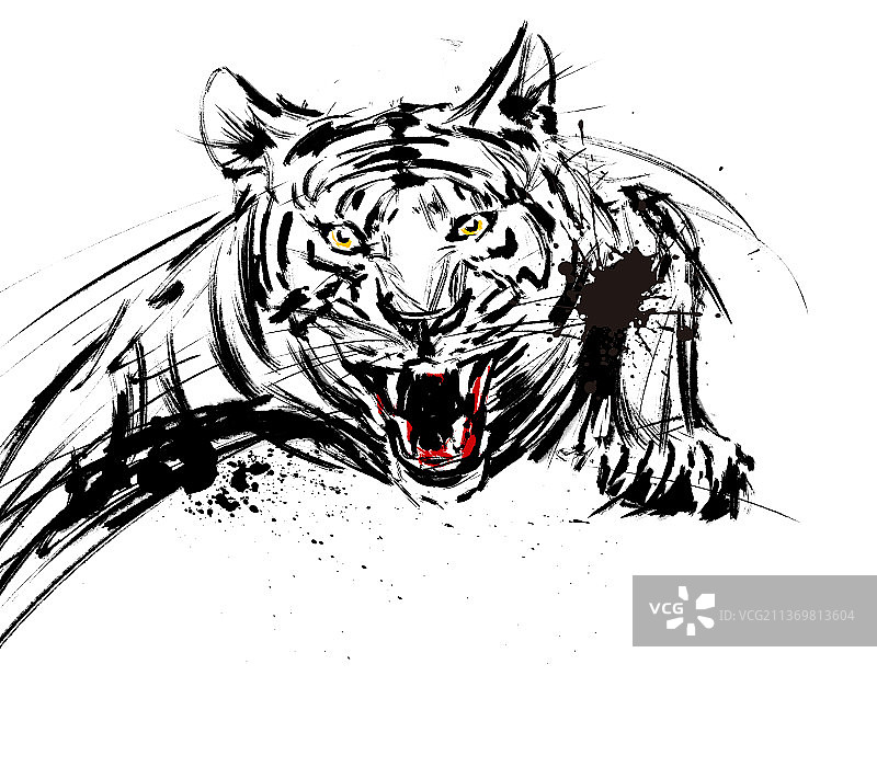 下山虎图片素材