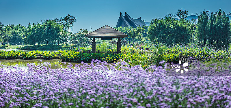 昆明古滇湿地公园图片素材