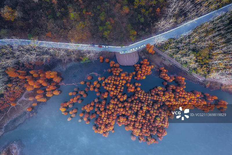 南京止马岭森林公园图片素材