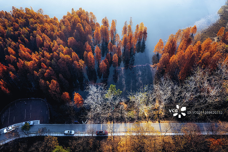 南京止马岭森林公园图片素材