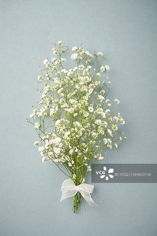 灰色背景上的鲜花与丝带图片素材