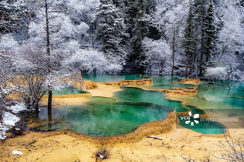 雪黄龙图片素材