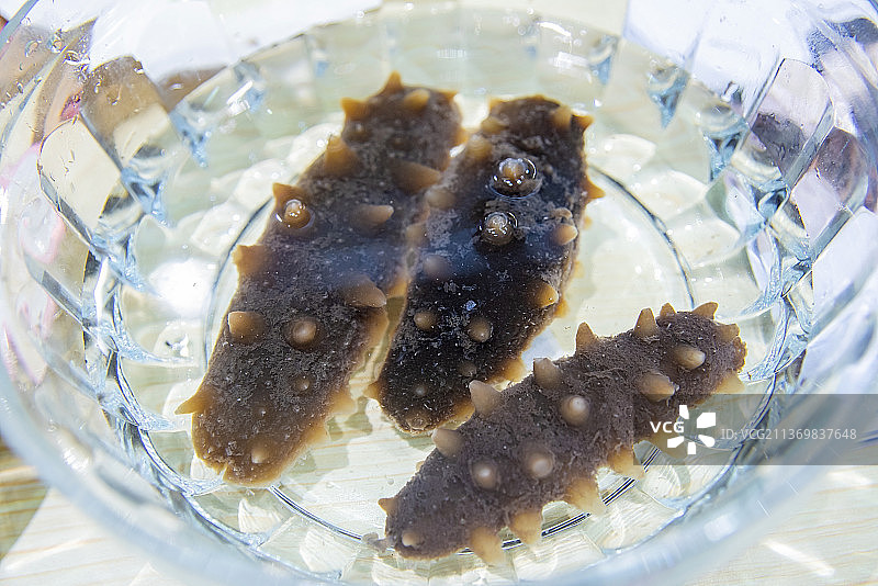 泡水的海参图片素材