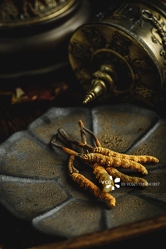 养生滋补冬虫夏草图片素材