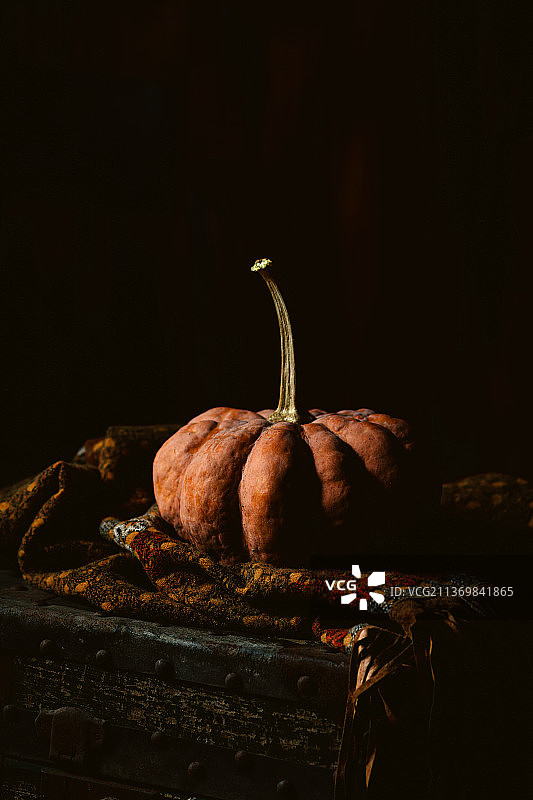 桌子上的南瓜图片素材