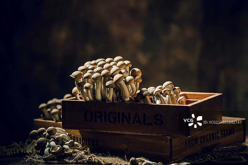 健康蔬菜蘑菇小香菇图片素材