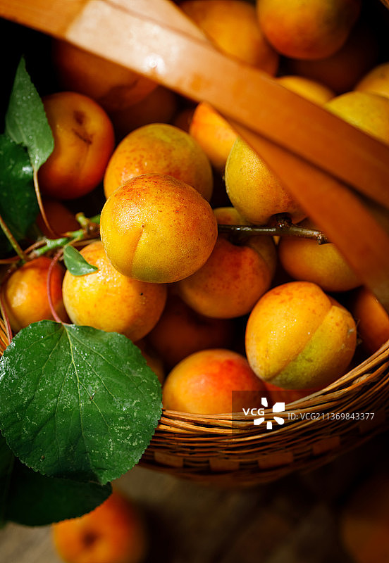 美味诱人的黄杏图片素材