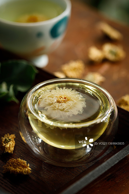 败火菊花茶图片素材