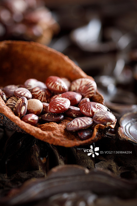 小肾豆斑马豆图片素材