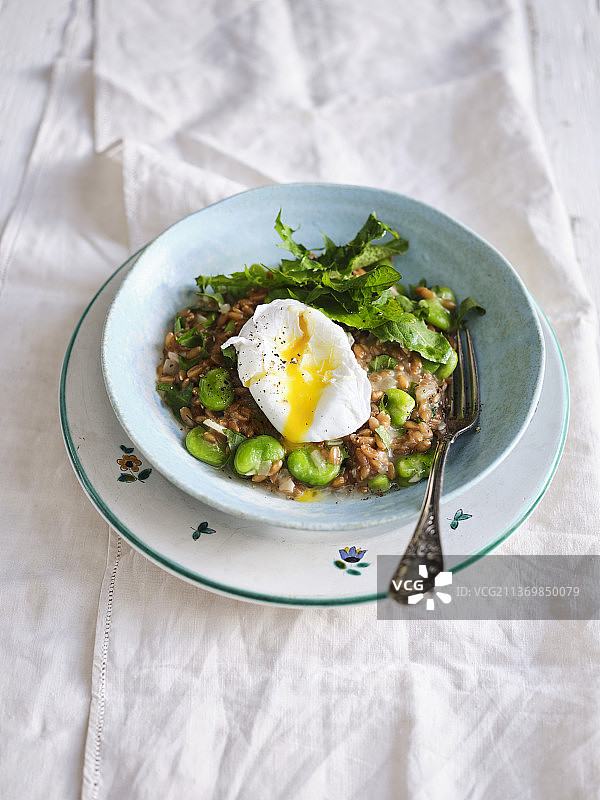 斯佩尔特小麦烩饭配蚕豆、蒲公英和荷包蛋图片素材
