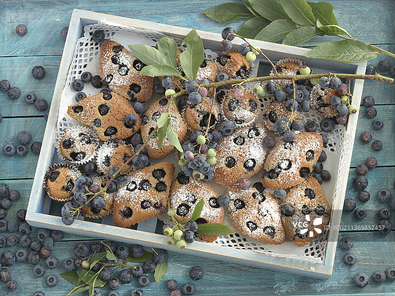 蓝莓法式小蛋糕图片素材