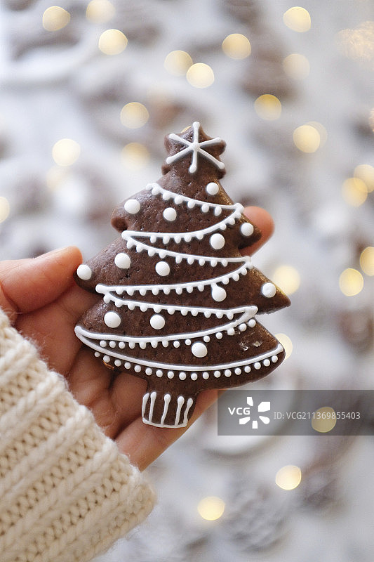 手持姜饼冷杉树图片素材
