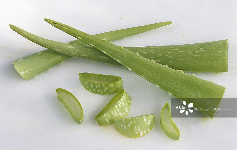 浅色背景上的芦荟图片素材