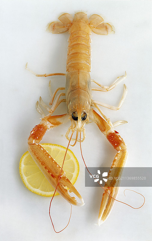 浅色背景下的挪威龙虾与柠檬图片素材