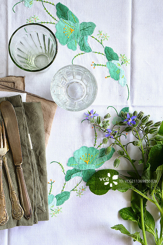 琉璃苣花图片素材