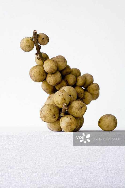 龙宫果图片素材