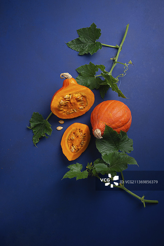 蓝色背景上的北海道南瓜和树叶图片素材