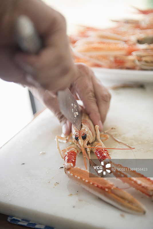 正在切开的布列塔尼海螯虾图片素材