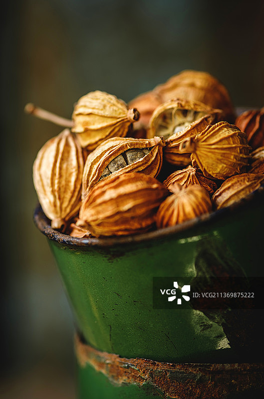 放在碗里的砂仁果图片素材