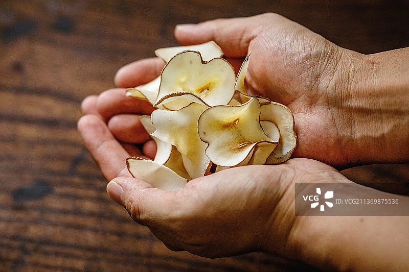 中药材海底椰图片素材